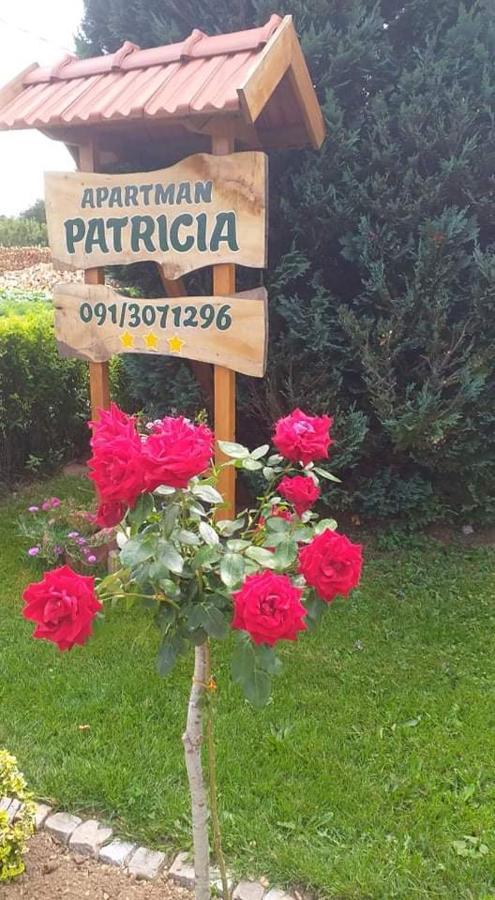 Apartman Patricia Apartamento Fužine Exterior foto